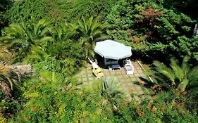B&B Il Giardino Di Villa Anna