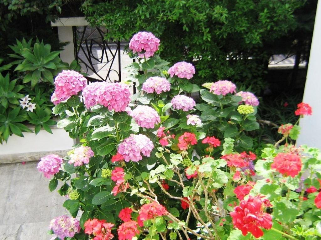 B&B Il Giardino Di Villa Anna Trecase Exterior foto