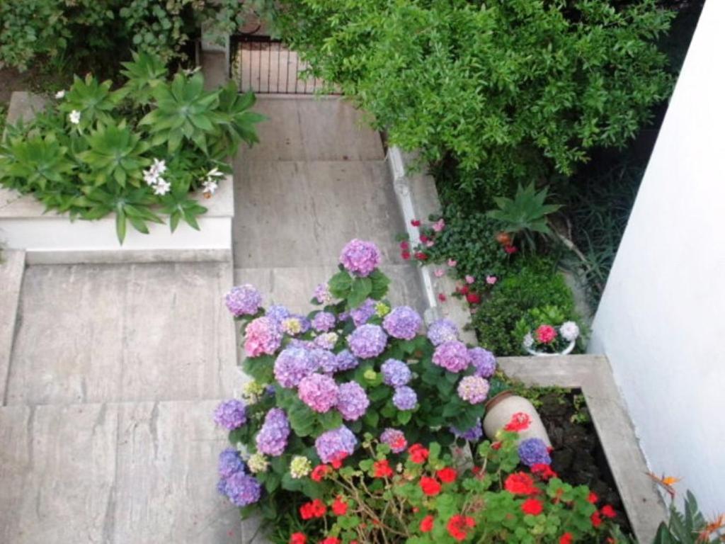 B&B Il Giardino Di Villa Anna Trecase Exterior foto