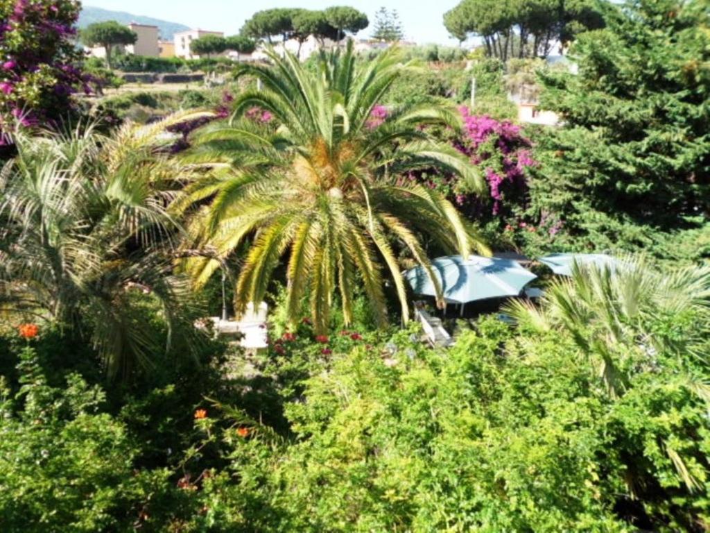 B&B Il Giardino Di Villa Anna Trecase Exterior foto