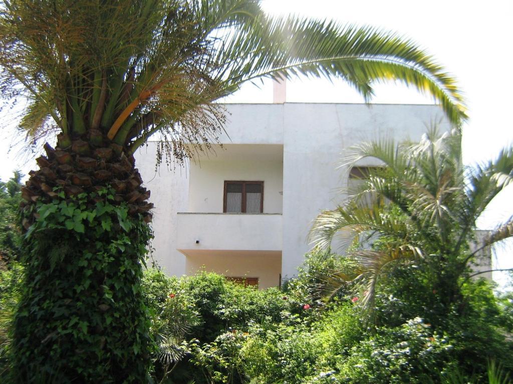 B&B Il Giardino Di Villa Anna Trecase Exterior foto