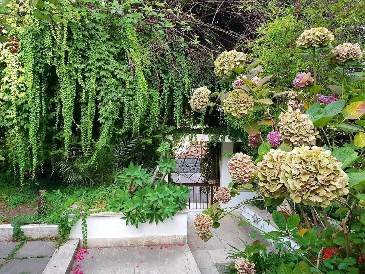 B&B Il Giardino Di Villa Anna Trecase Exterior foto