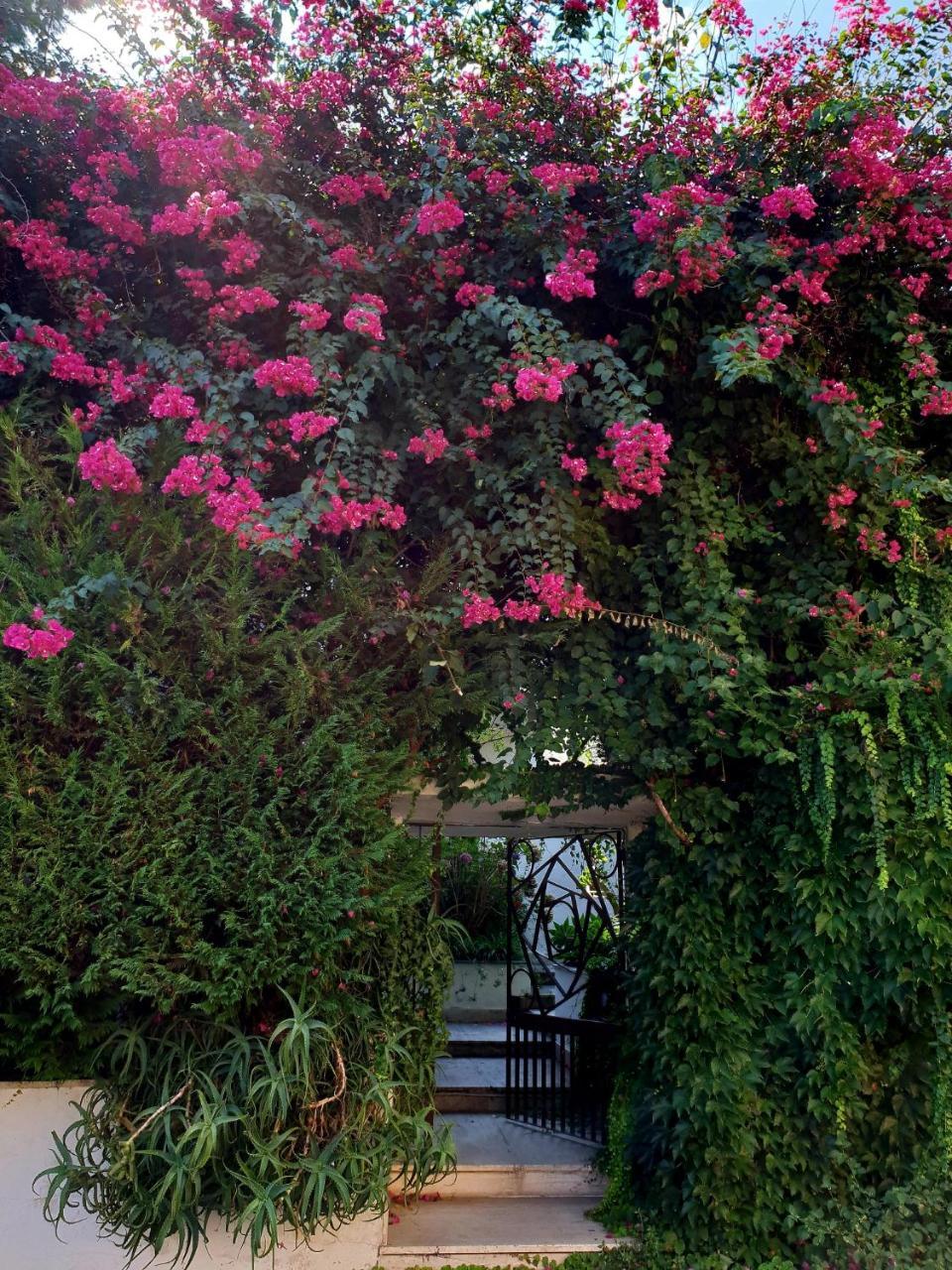 B&B Il Giardino Di Villa Anna Trecase Exterior foto