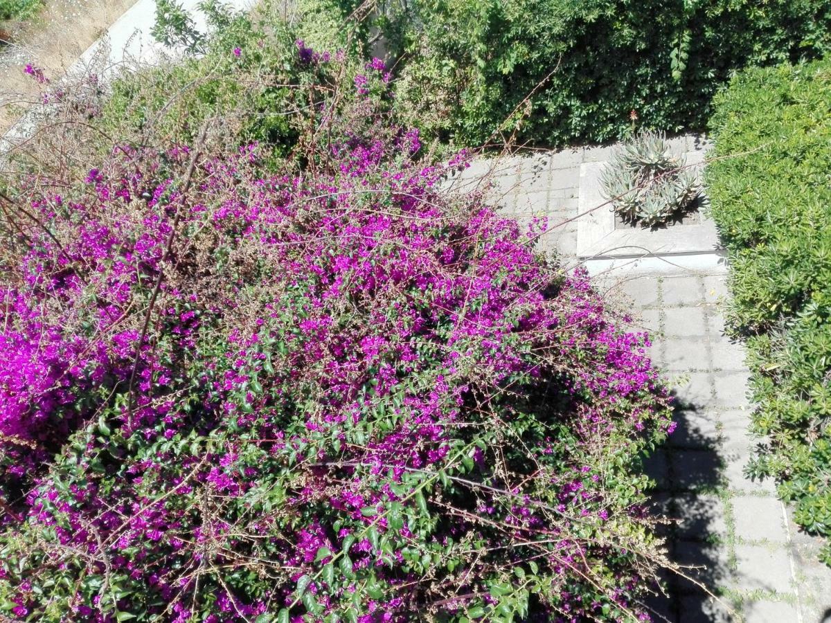 B&B Il Giardino Di Villa Anna Trecase Exterior foto